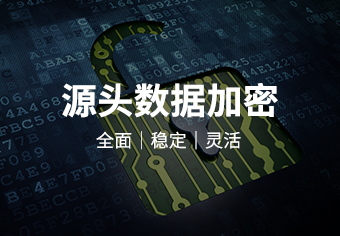 加密软件旗舰版